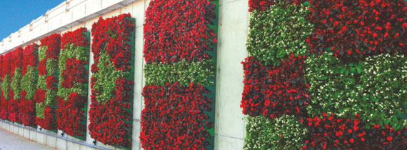 الجدار الأخضر (جدار الحديقة)